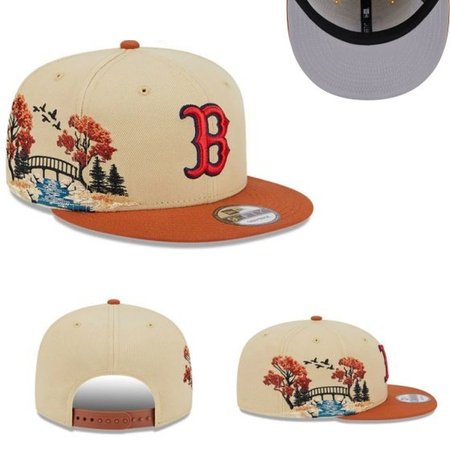 Boston Red Sox Snapback Hat